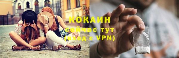 крисы Магас