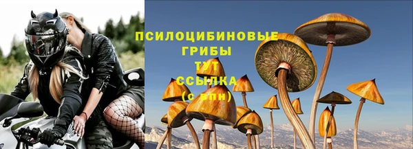 спиды Весьегонск
