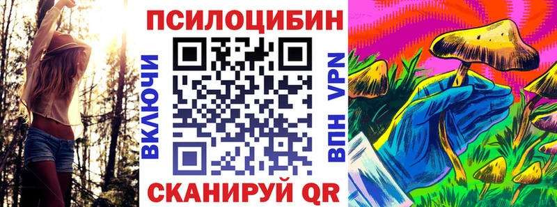 Галлюциногенные грибы мицелий  как найти   ссылка на мегу сайт  Кохма 